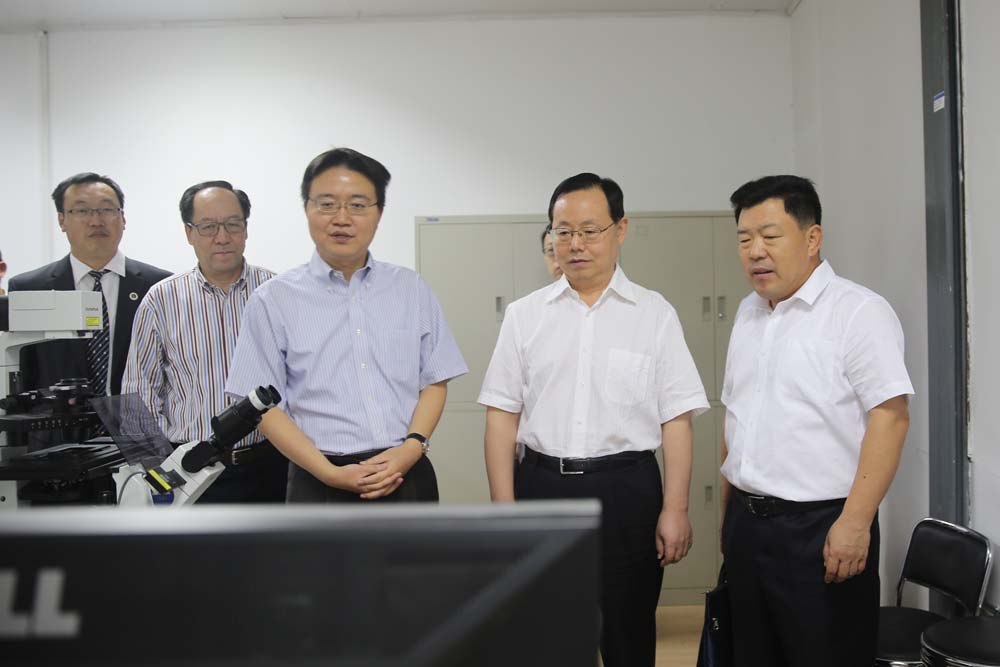 致公党中央调研组来我室调研考察
