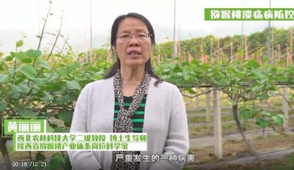 猕猴桃溃疡病防控技术指导