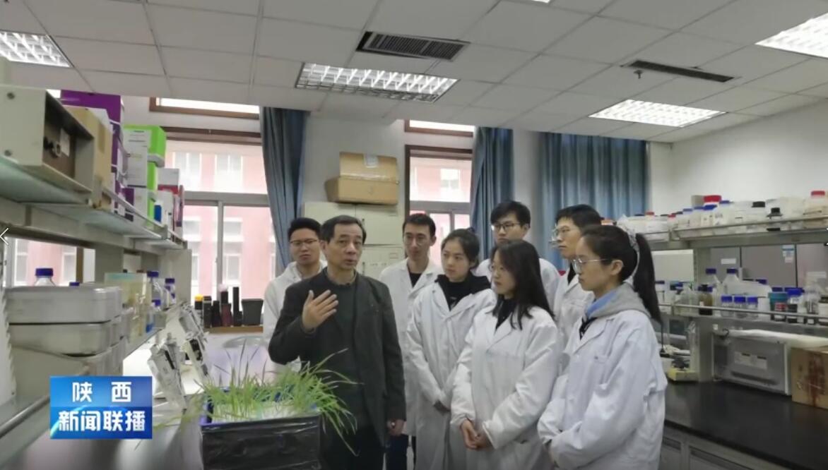 宋卫宁教授:世界首款大麦高密度液相SNP芯片成功研发