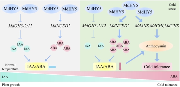 d1fea59b6844492da4c4e5aebf8adc47.jpg